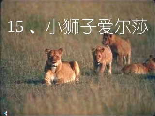 小狮子爱尔莎