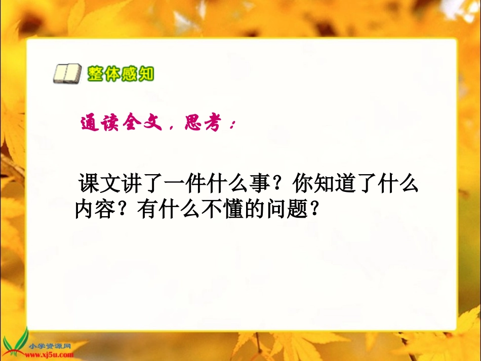 快乐的小河2_第3页