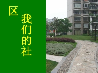 三年级下《我们的社区》