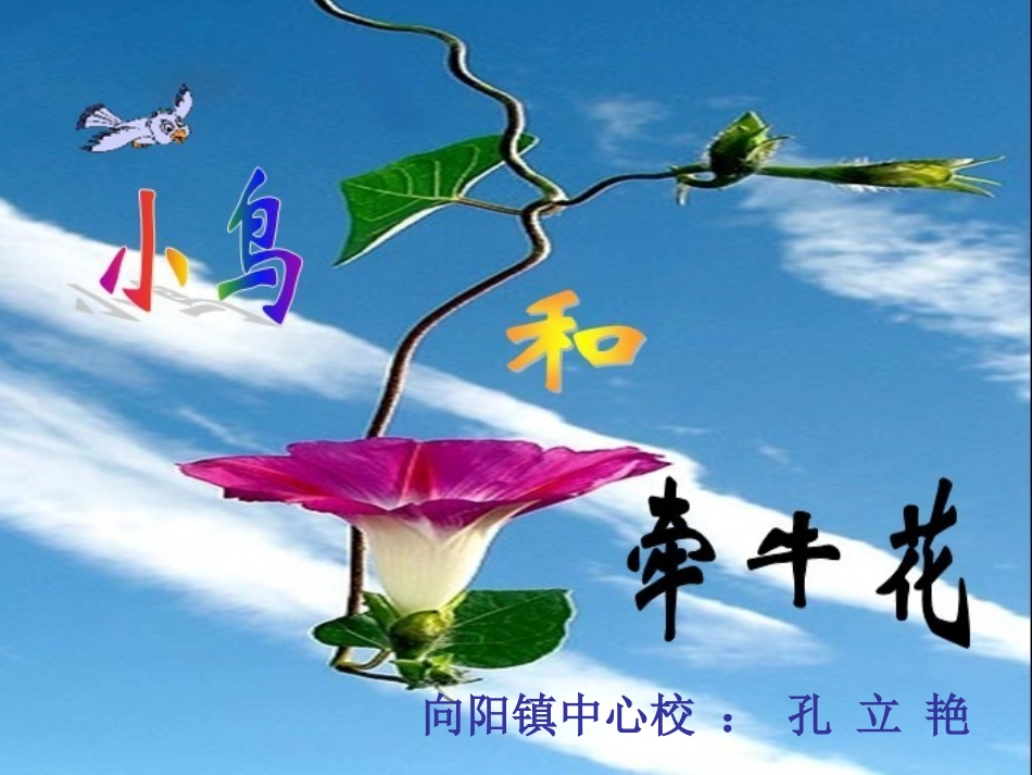 《小鸟和牵牛花》PPT课件1_第1页