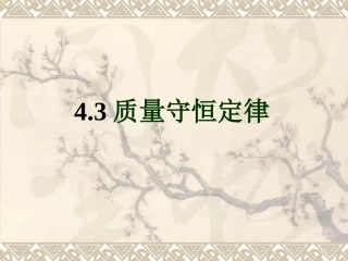 质量守恒定律 (3)