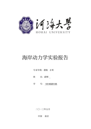 河海大学海岸动力学试验报告