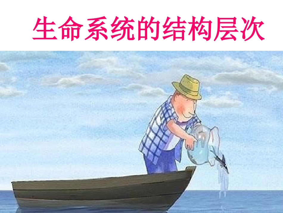 生命系统的结构层次_第1页