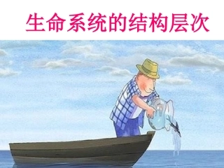生命系统的结构层次