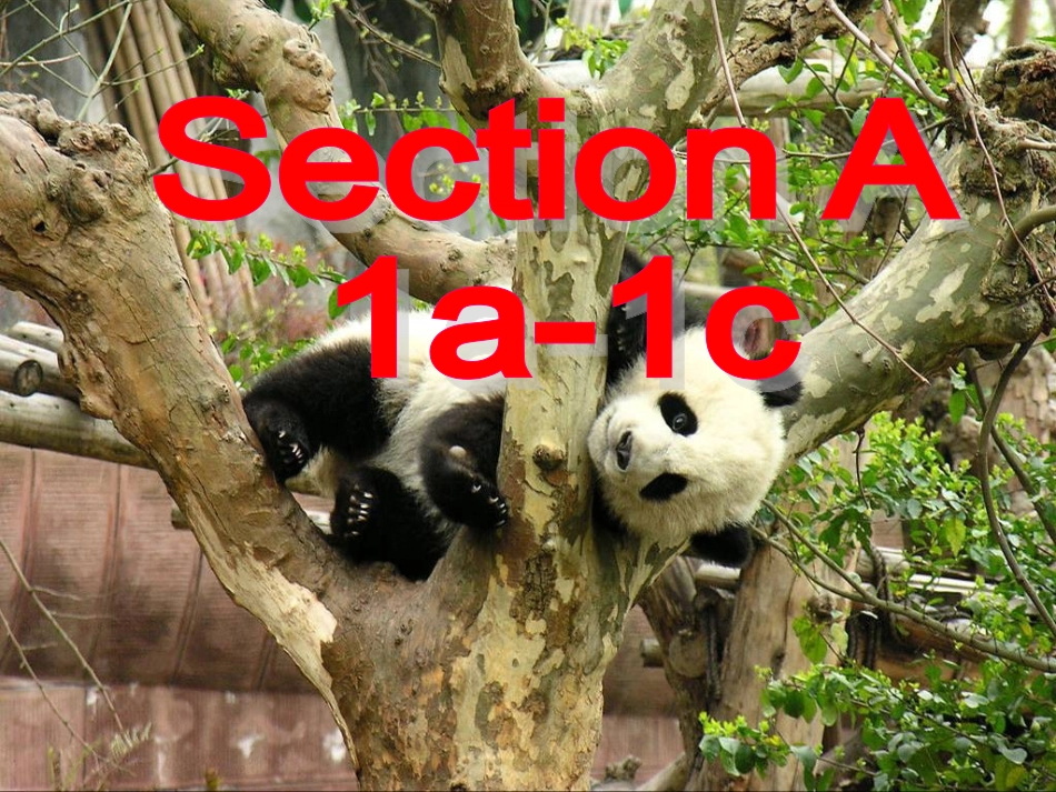 2015七年级下册英语《Unit_5_Why_do_you_like_pandas1_第2页