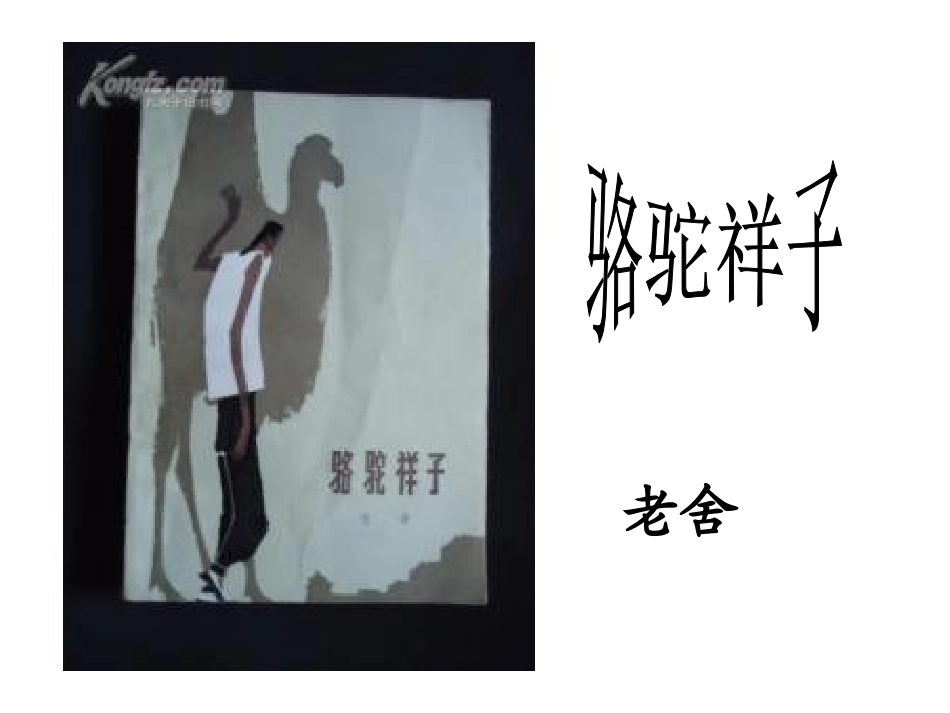 程秀梅二中骆驼祥子_第1页