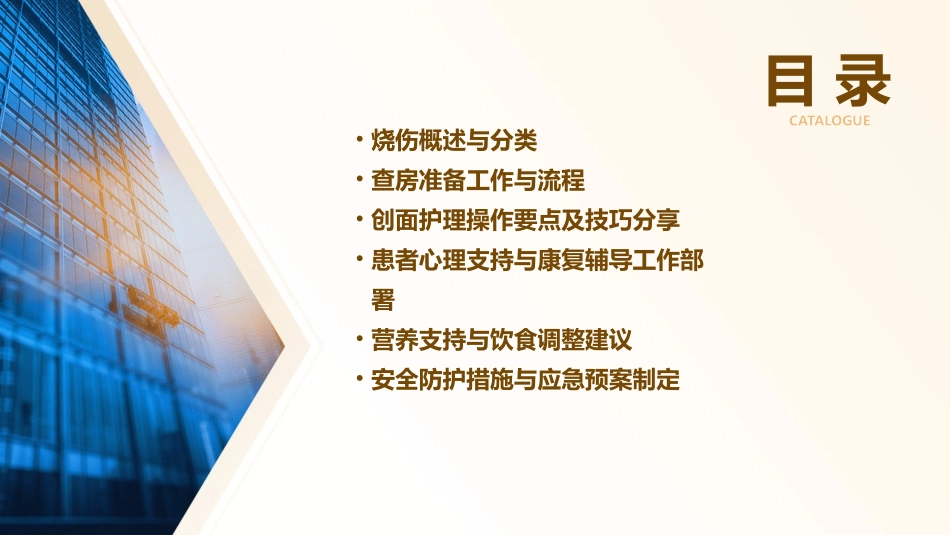 烧伤的业务查房护理课件_第2页