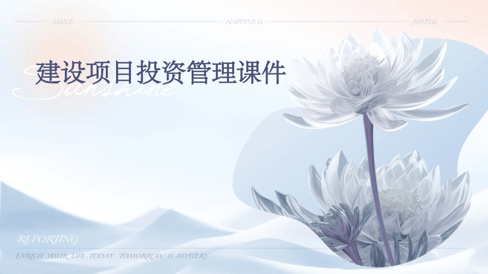 建设项目投资管理课件_第1页