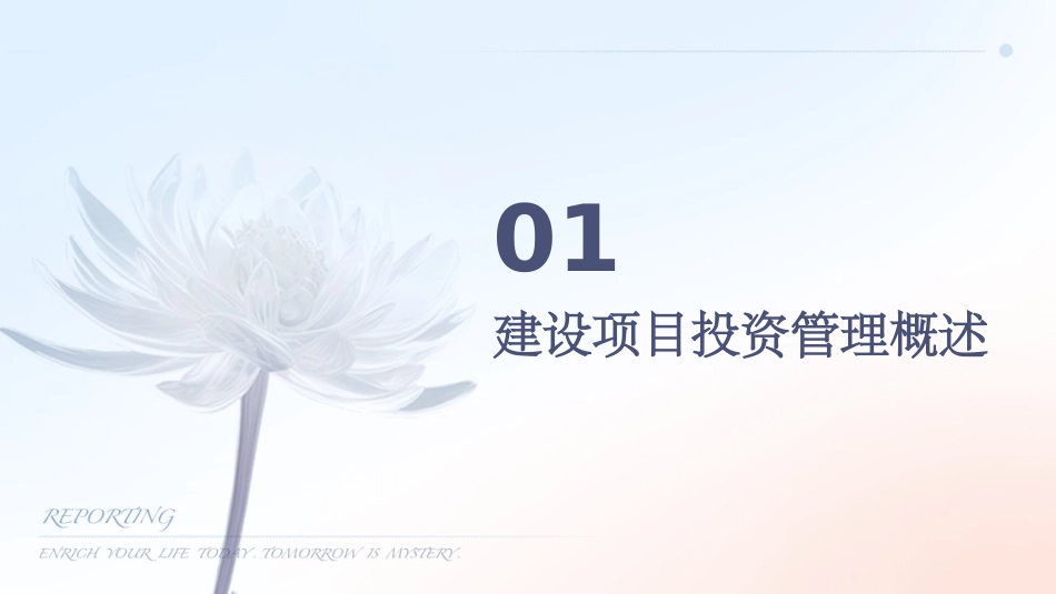 建设项目投资管理课件_第3页
