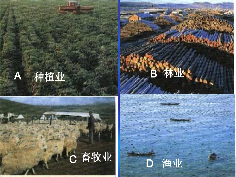 因地制宜发展农业_第2页