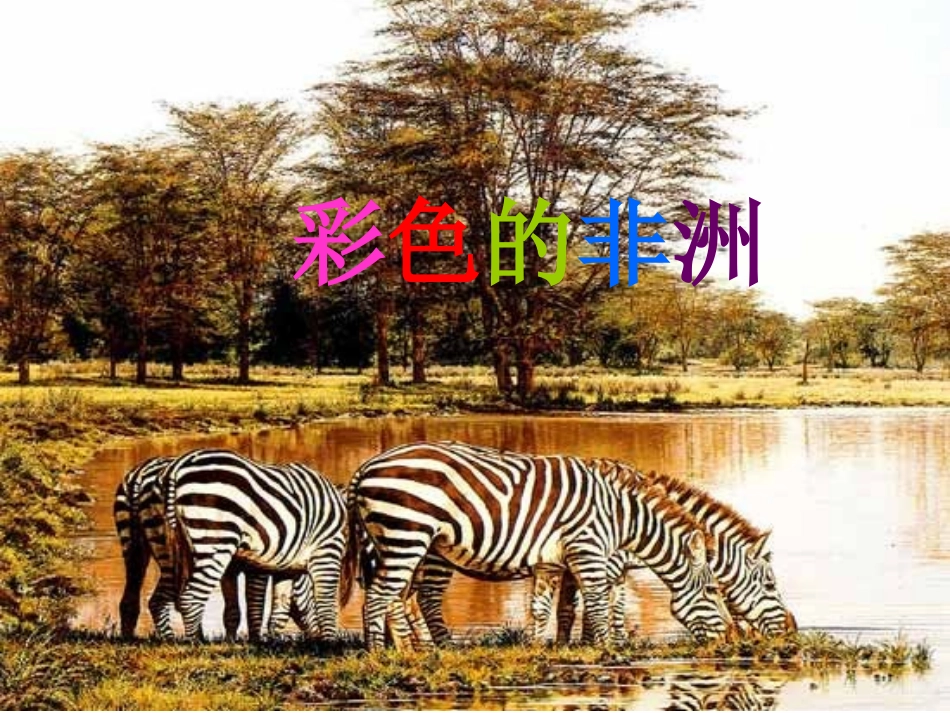彩色的非洲（鲁红艳）_第1页