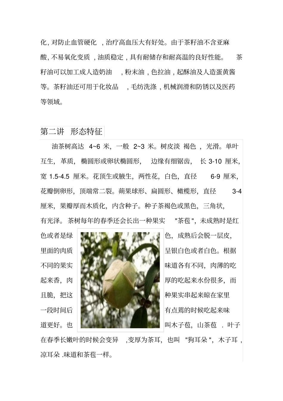 油茶知识及种植_第2页
