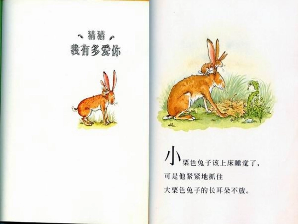 猜猜我有多爱你 (4)_第3页