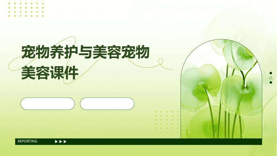 宠物养护与美容宠物美容课件_第1页
