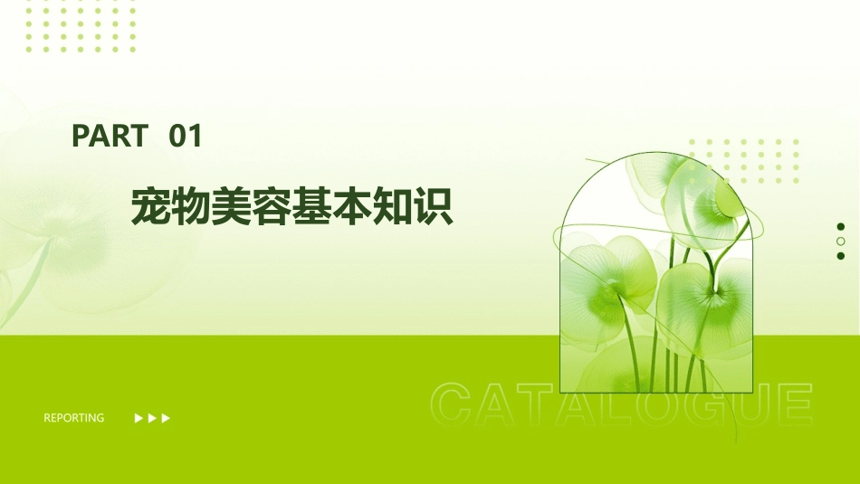 宠物养护与美容宠物美容课件_第3页