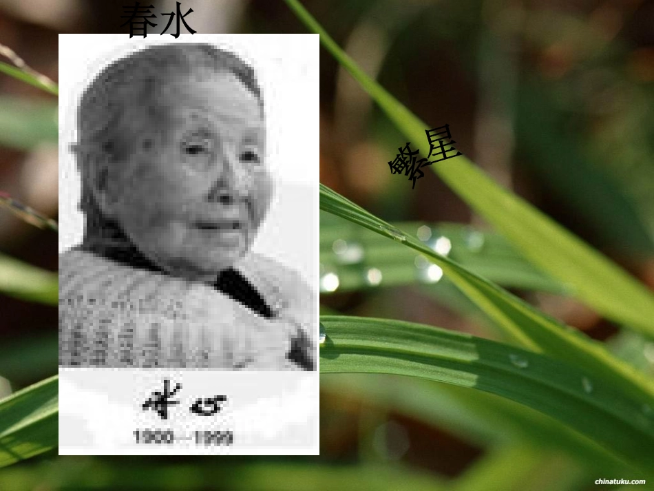 《繁星》《春水_第3页