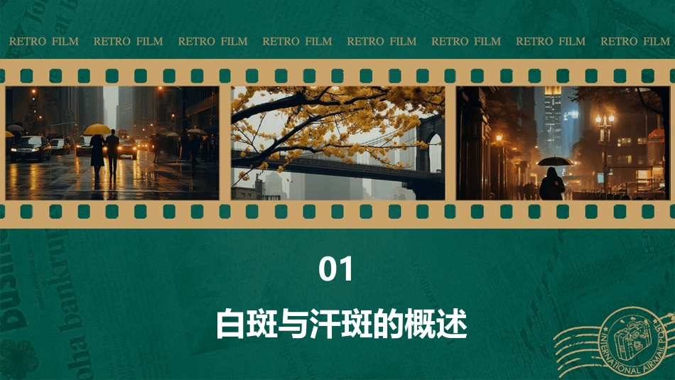 白斑与汗斑的治疗法课件_第3页