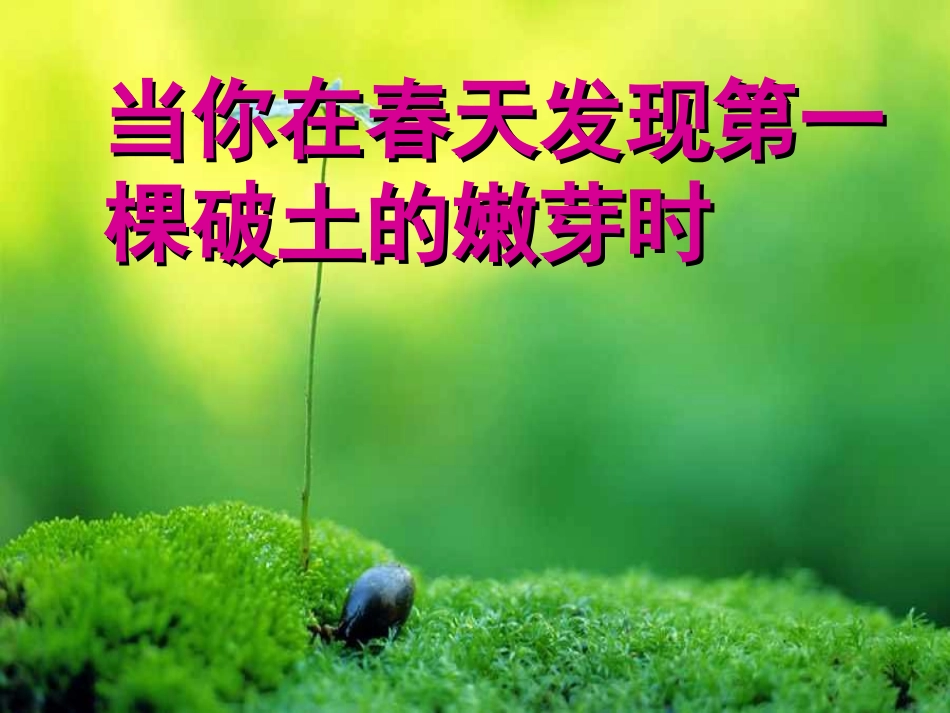 囚绿记 (3)_第1页