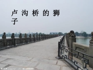 卢沟桥的狮子