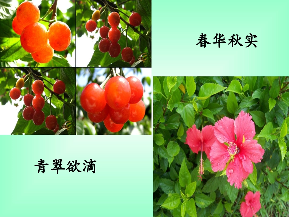 化学肥料PPT课件_第2页