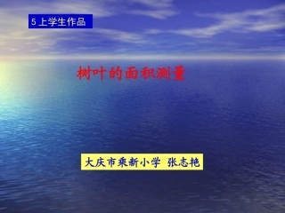 上学生作品树叶面积测量