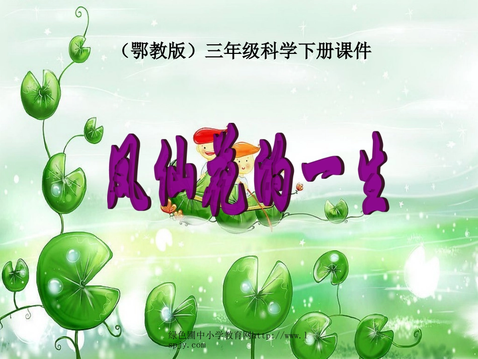 凤仙花的一生_第1页