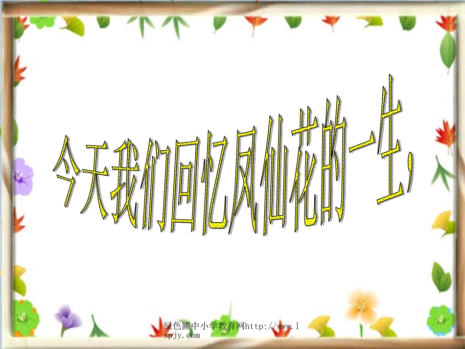 凤仙花的一生_第2页