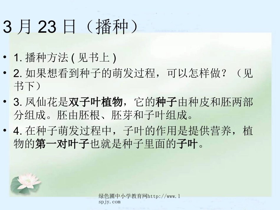 凤仙花的一生_第3页