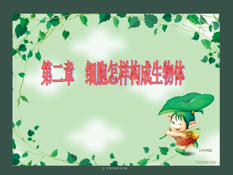 动物体的结构层次PPT课件(1)_第1页