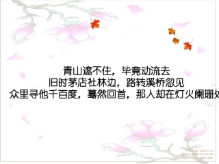 水龙吟·登建康赏心亭优质课件