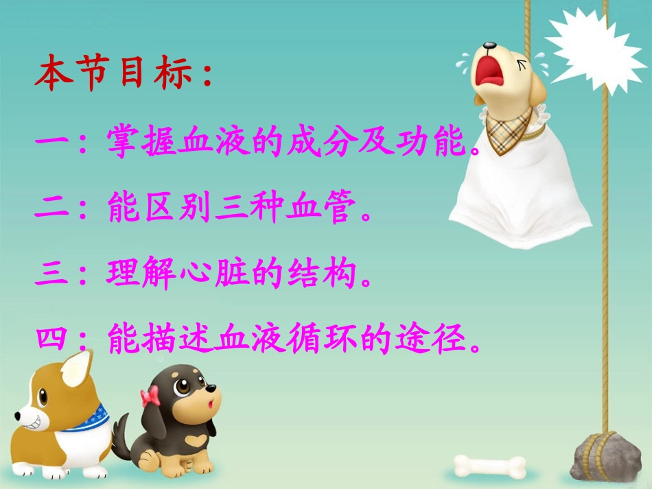 人体的血液循环_第2页