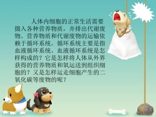 人体的血液循环