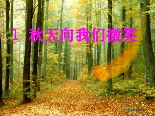 秋天向我们微笑四上