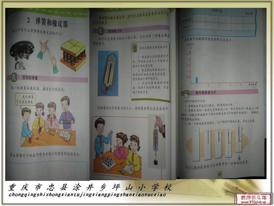 《弹簧和橡皮筋》_第2页