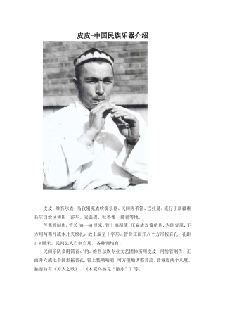 皮皮－中国民族乐器介绍