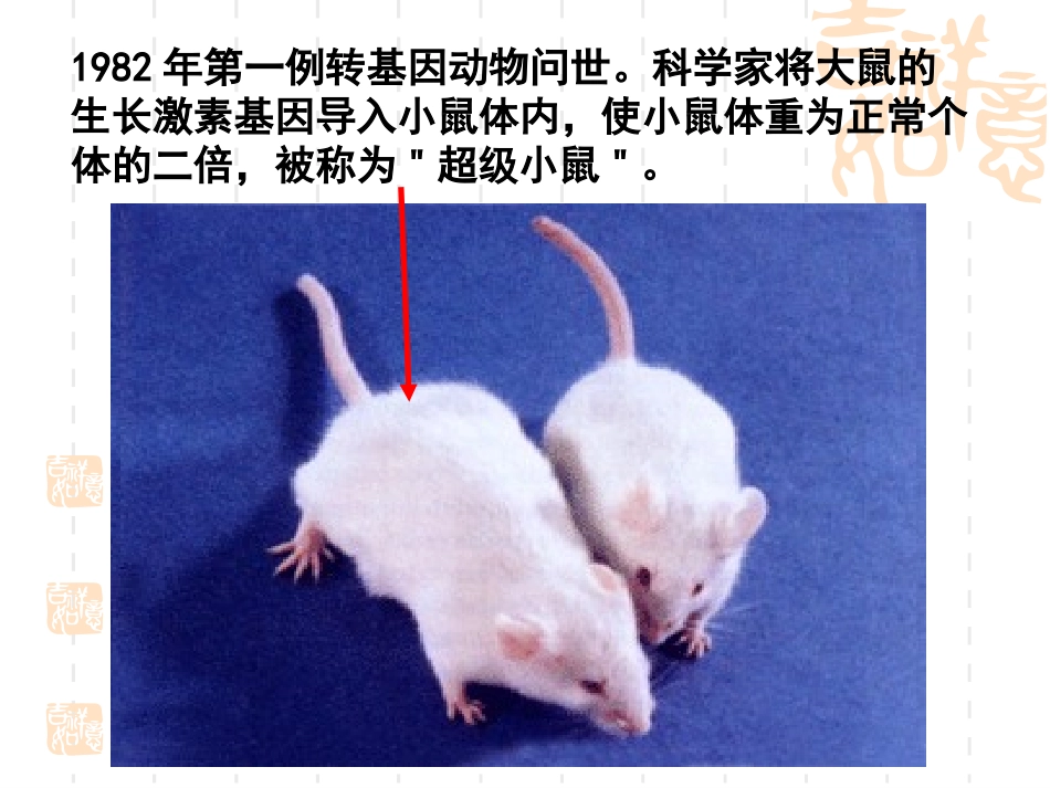 基因工程及其应用课件(上课)_第1页