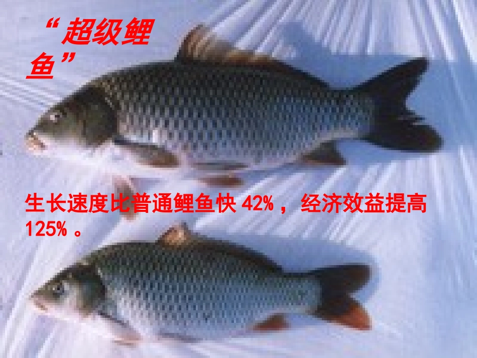 基因工程及其应用课件(上课)_第2页