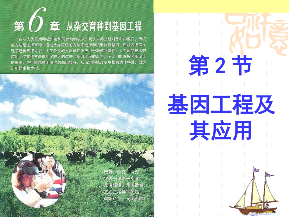 基因工程及其应用课件(上课)_第3页