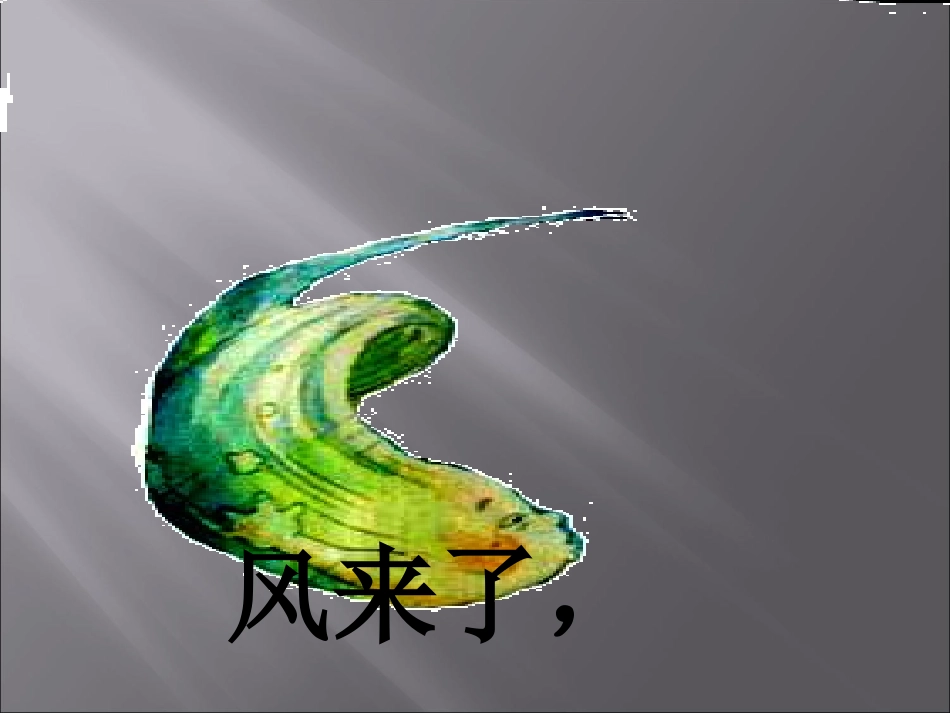 风来了雨来了_第3页