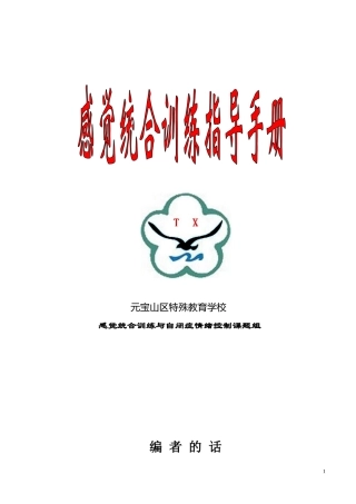 感觉统合训练手册