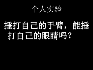 初中一年级生物上册第二单元生物体的结构层次第二章第二节动物体的结构层次第一课时课件