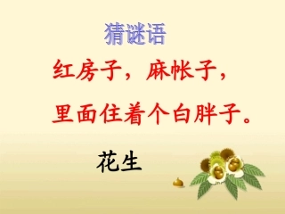 《小松鼠找花生》教学课件 (2)