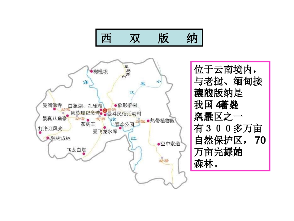 五年下《西双版纳密林奇观》PPT_第3页