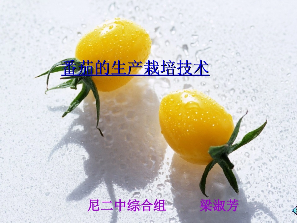 番茄的生产栽培技术_第1页