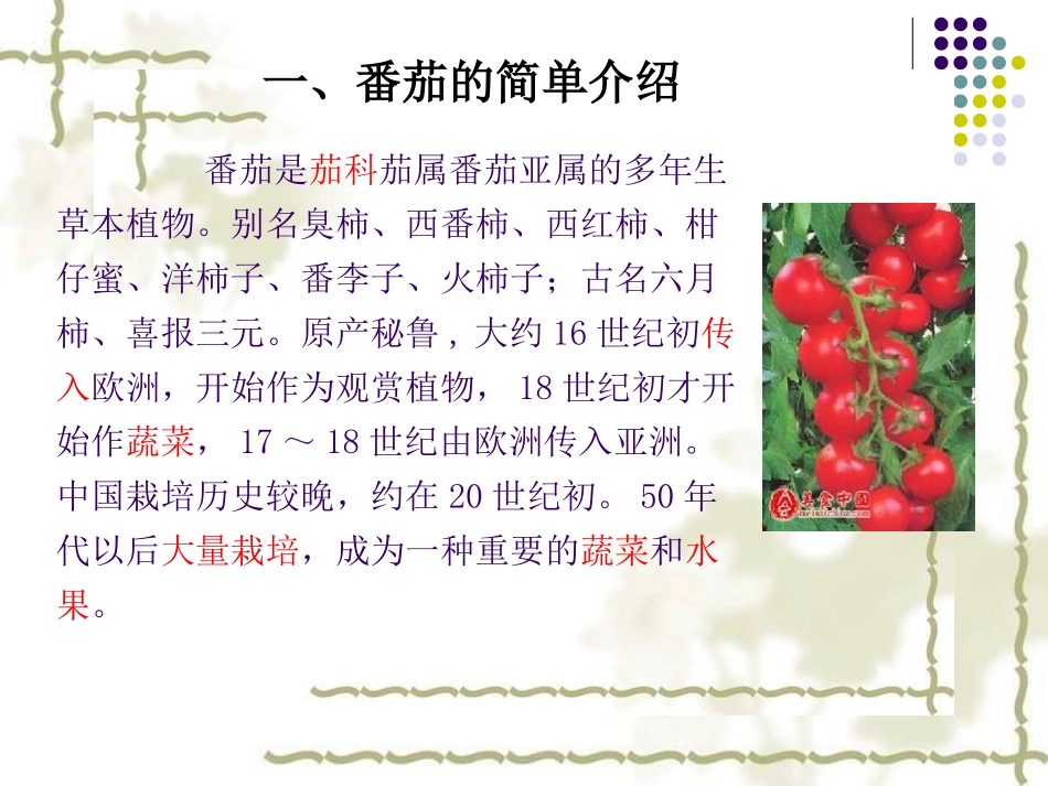 番茄的生产栽培技术_第3页