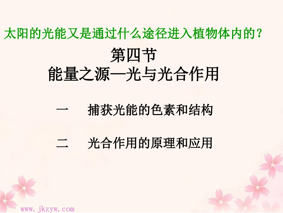 光合作用 (2)_第1页