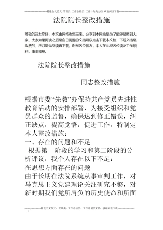 法院院长整改措施