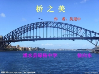 桥之美 (2)