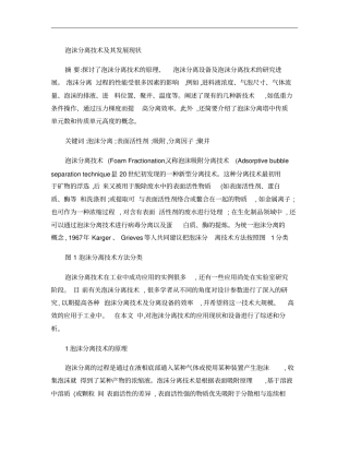 泡沫分离技术及其发展现状概要
