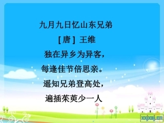 《故乡的芦苇》课件